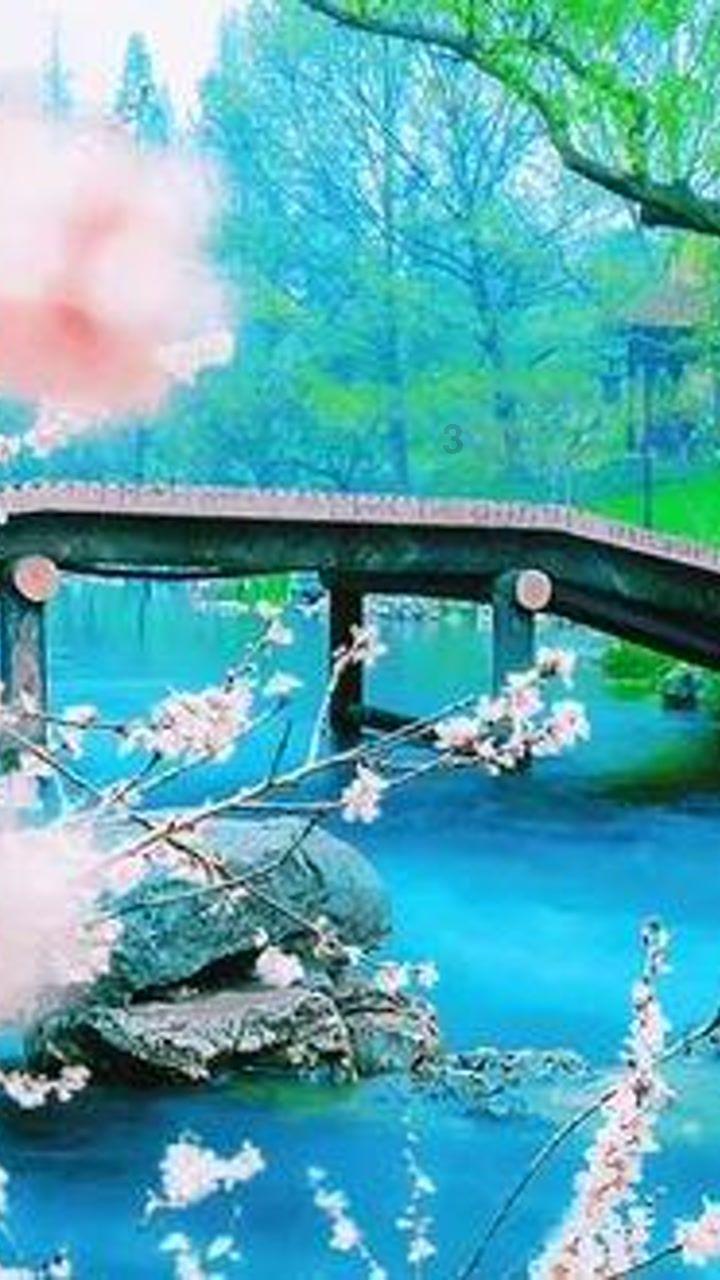 雪公园森林逃生